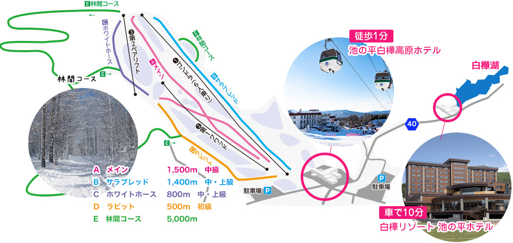 白樺高原国際スキー場 マップ