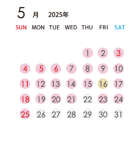 2025年5月