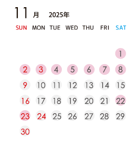 2025年11月