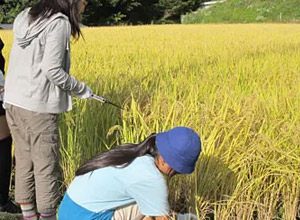SDGs・探究型修学旅行プログラム
