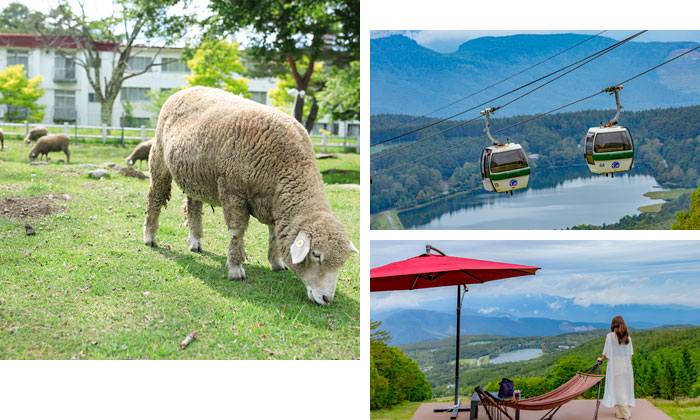 高原ホテルの周辺はロケーション抜群