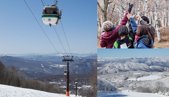 周辺のアクティビティの様子