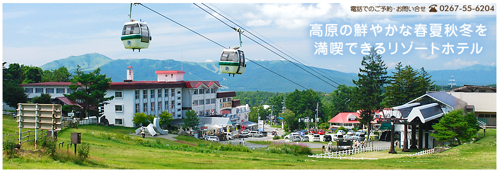 お電話でのご予約・お問い合わせ 0267-55-6204