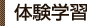 体験学習