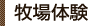 牧場体験