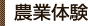 農業体験