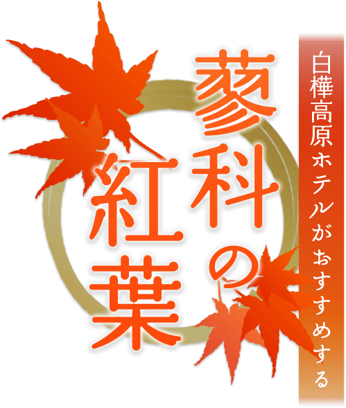 蓼科の紅葉