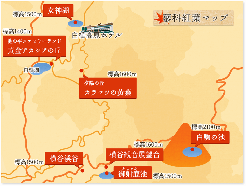 蓼科 紅葉マップ