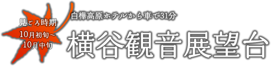 横谷観音展望台