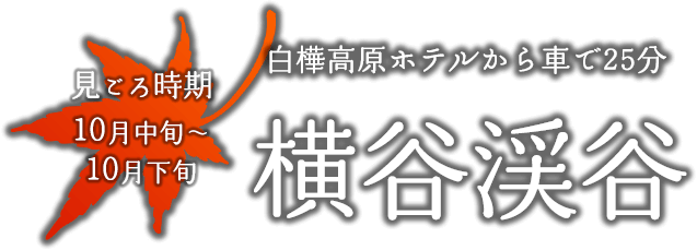 横谷渓谷