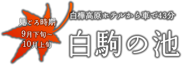 白駒の池