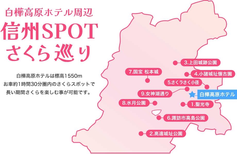 【白樺高原ホテル周辺 信州SPOTさくら巡り】白樺高原ホテルは標高1550m、お車約1時間30分圏内のさくらスポットで長い期間さくらを楽しむ事が可能です。