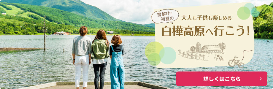 白樺高原へ行こう