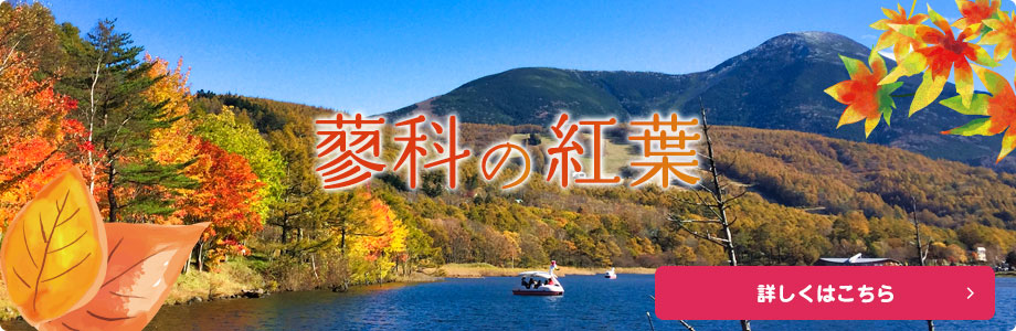 蓼科の紅葉