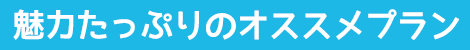 魅力たっぷりのオススメプラン