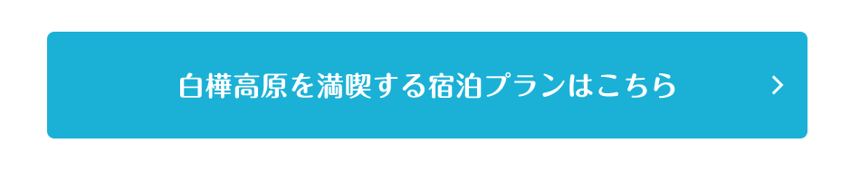宿泊プランはこちら