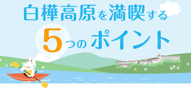 白樺高原を満喫する5つのポイント