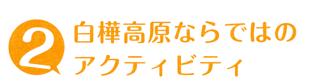 白樺湖ならではのアクティビティ